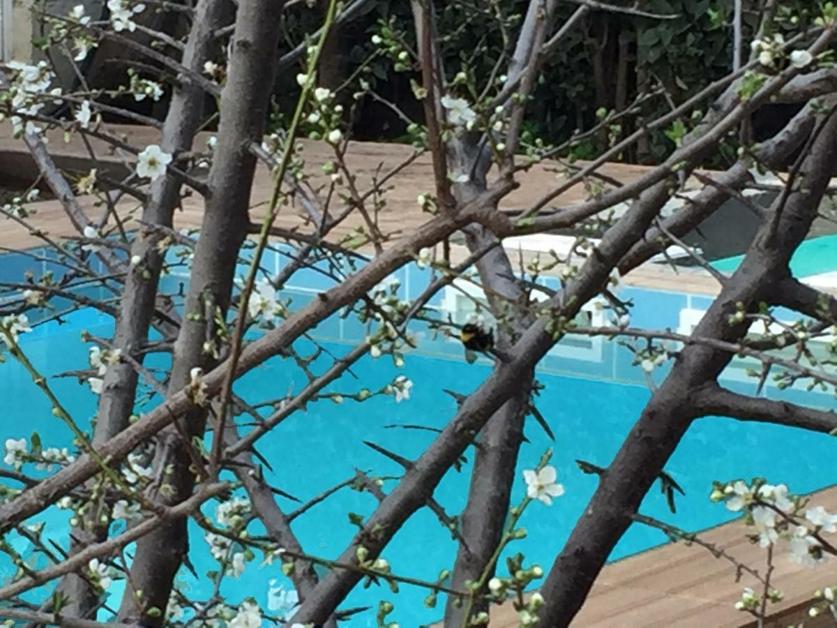 Sunny Rhodes Villa Koskinou  Zewnętrze zdjęcie